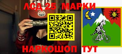 спиды Новодвинск