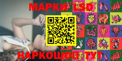 спиды Новодвинск