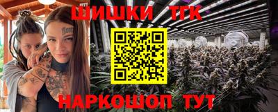 спиды Новодвинск