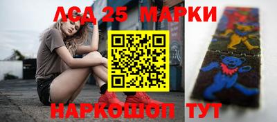 спиды Новодвинск
