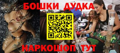 спиды Новодвинск